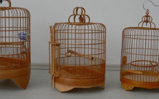 Пара птиц в клетке (64 фото)